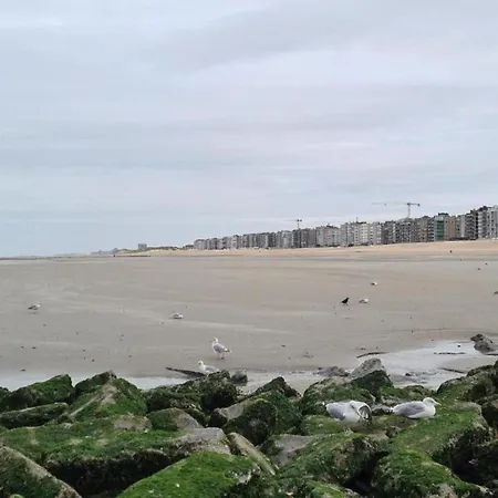 In Near The Beach, Cleaning Included * De Panne